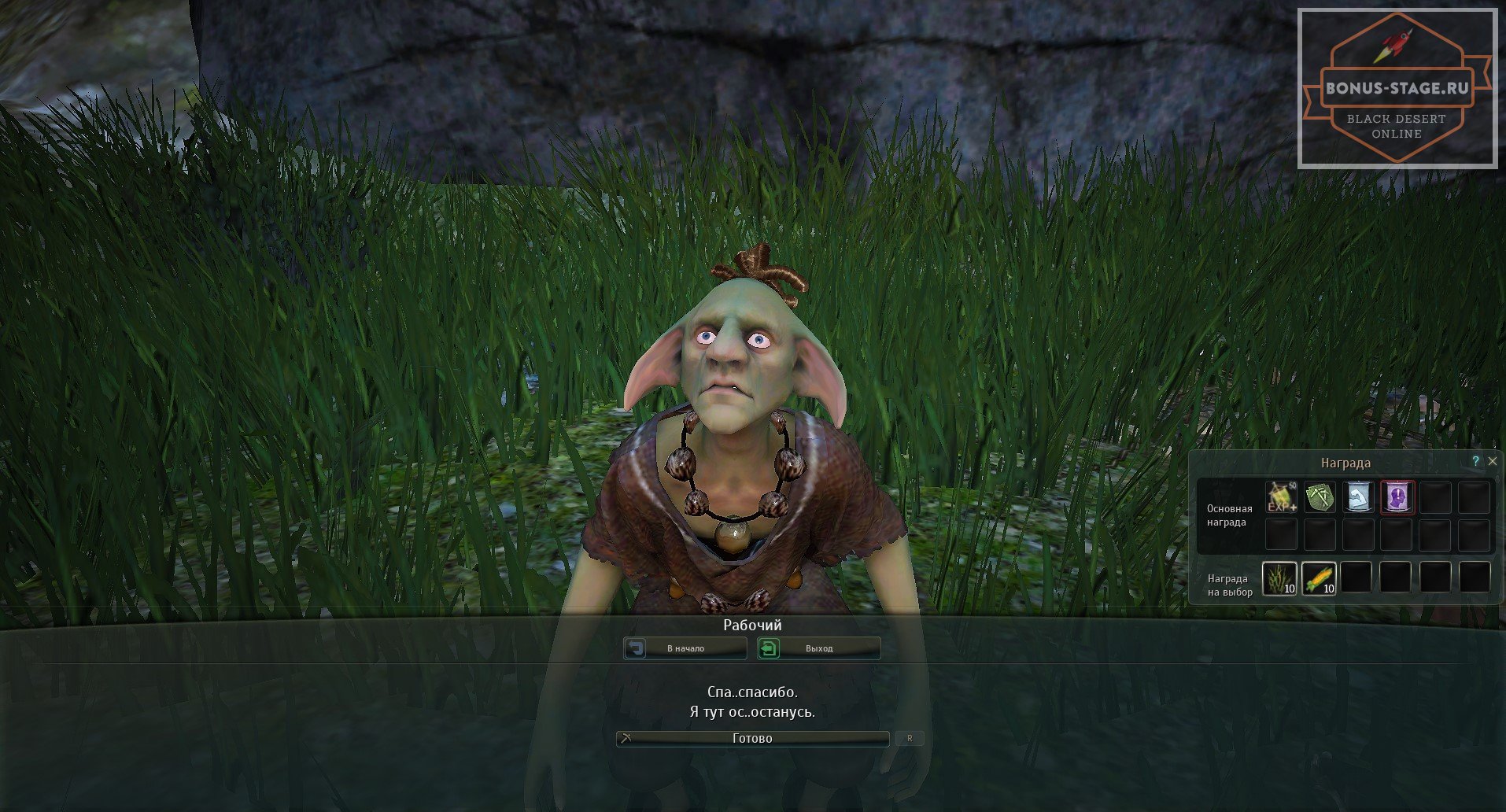 Black Desert. Одежда собирателя - картинки